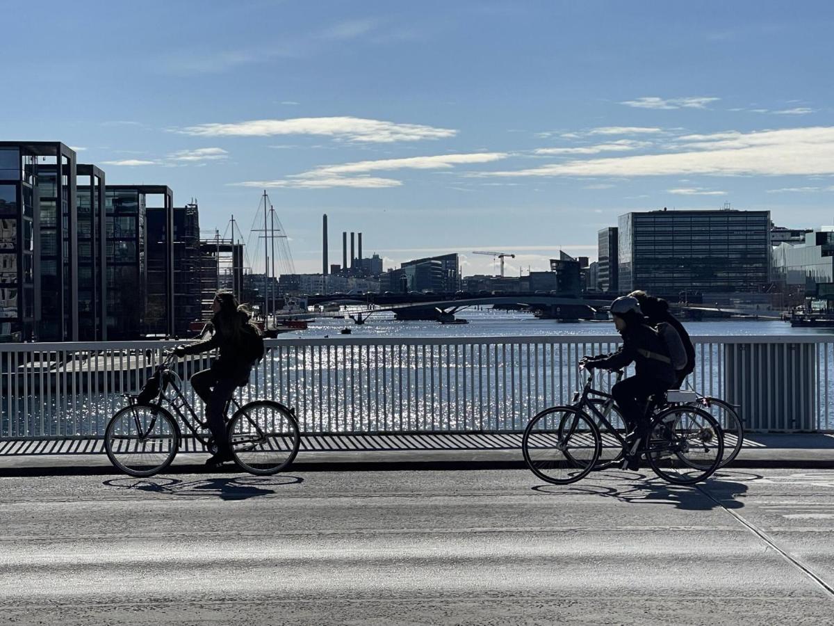 Lejlighed Apartmentincopenhagen 1503
